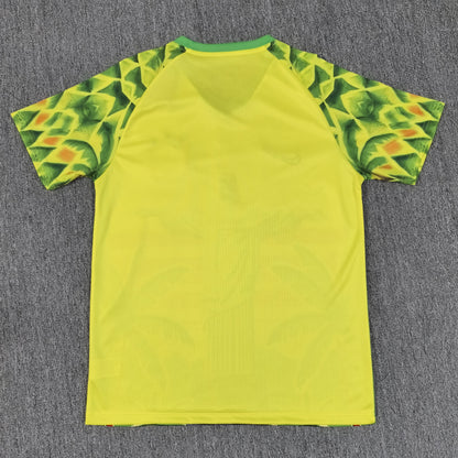 Maillot Brésil Concept 2025/2026