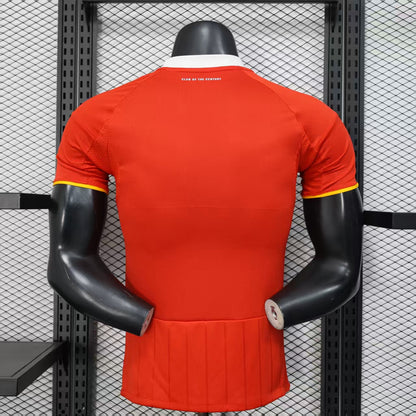 Maillot Al Ahly Domicile 2025/2026 Player Version