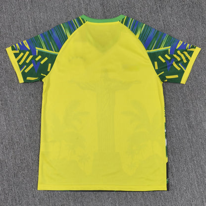 Maillot Brésil Concept 2025/2026