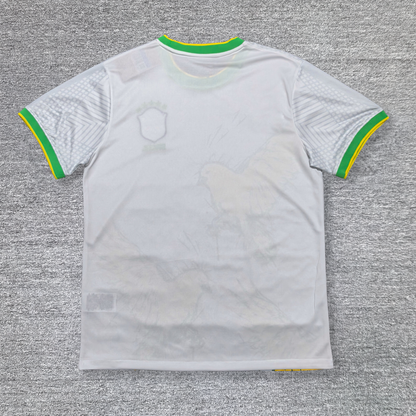 Maillot Brésil Concept 2023/2024