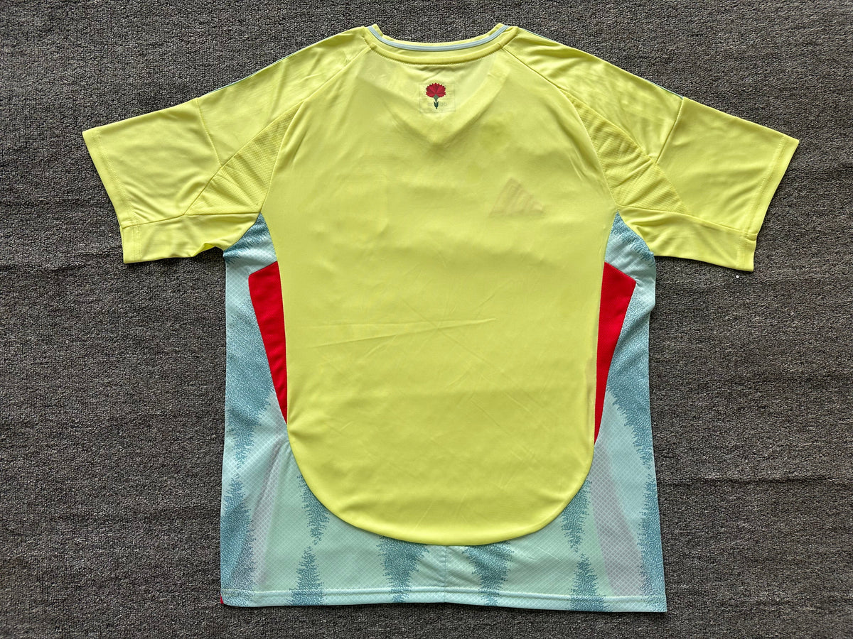 Maillot Espagne 2024/2025