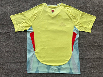 Maillot Espagne 2024/2025