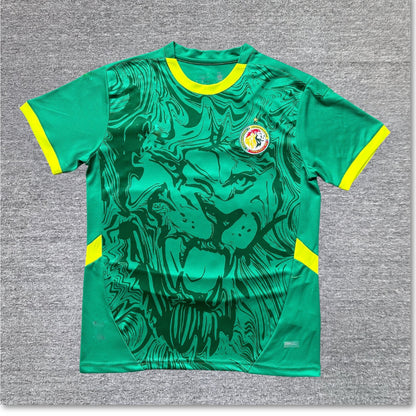 Maillot Sénégal 2024/2025