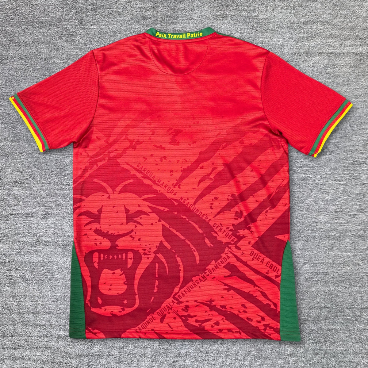 Maillot Cameroun 2025/2026