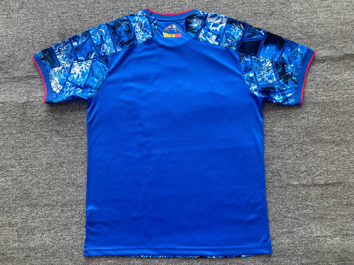 Maillot Japon 2024/2025