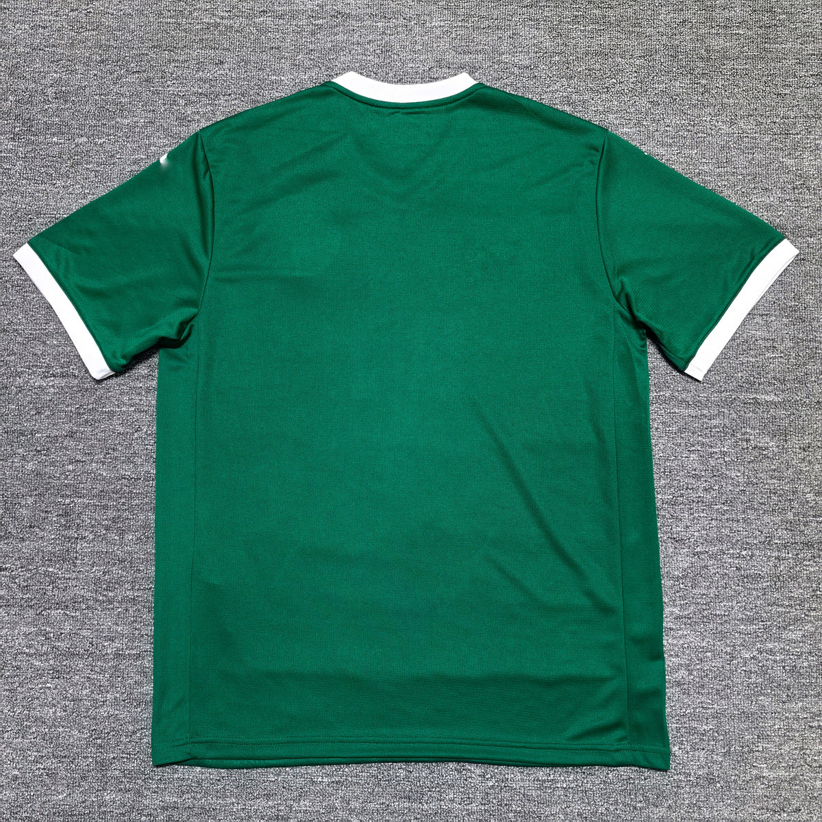 Maillot Palmeiras 2025/2026