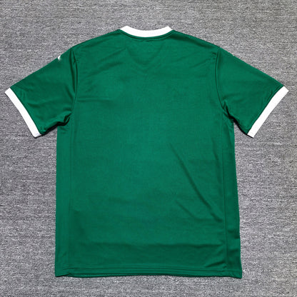 Maillot Palmeiras 2025/2026
