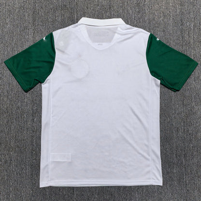 Maillot Palmeiras 2025/2026