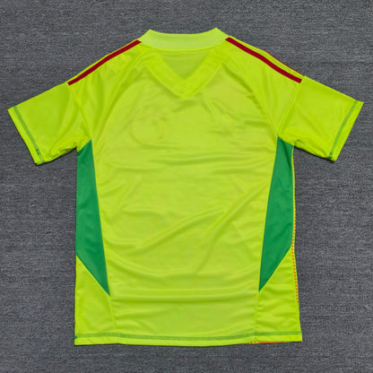Maillot goalkeeper FC Bayern 24/25