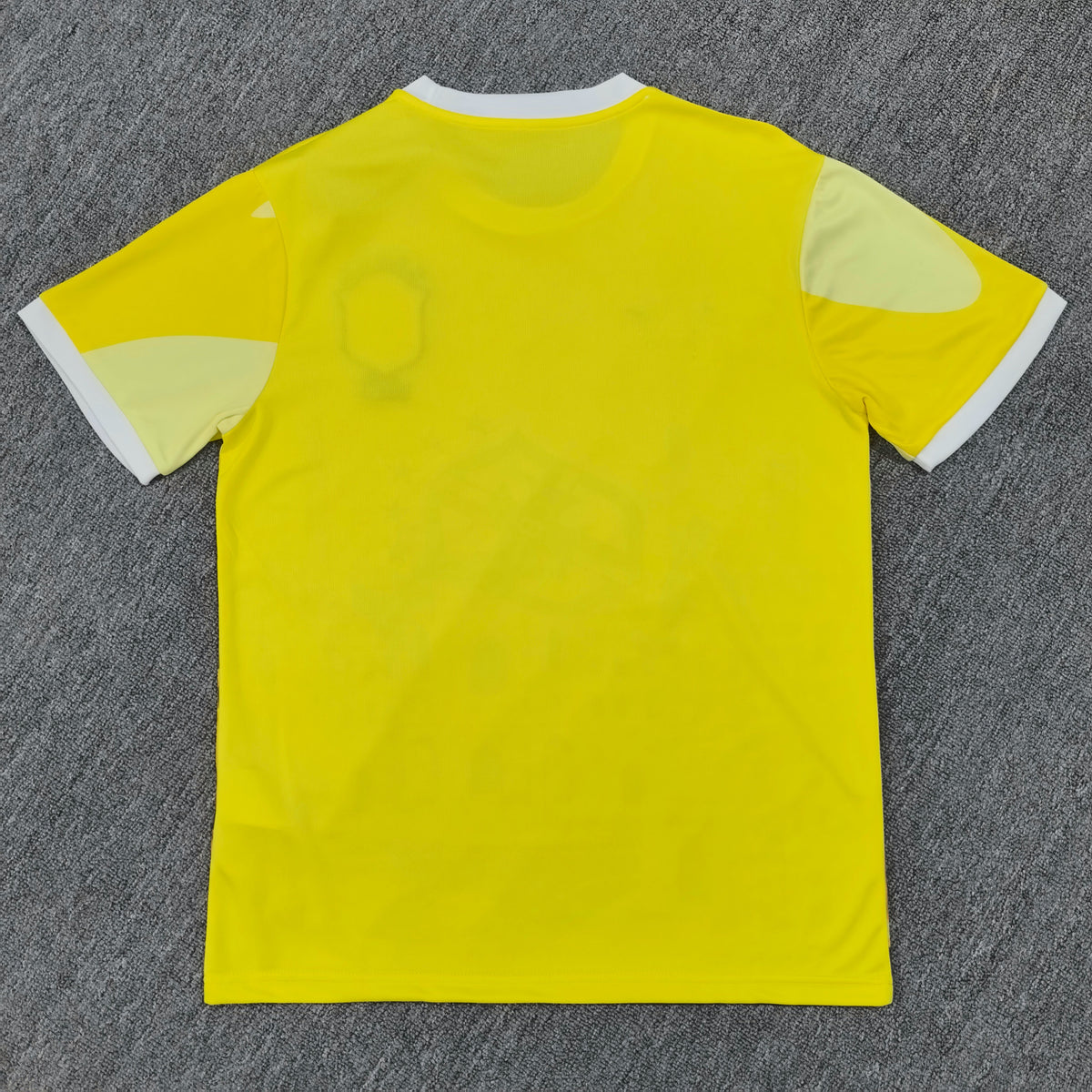 Maillot Brésil Concept 2024/2025