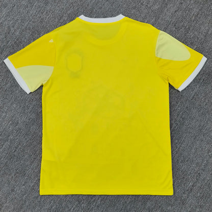 Maillot Brésil Concept 2024/2025