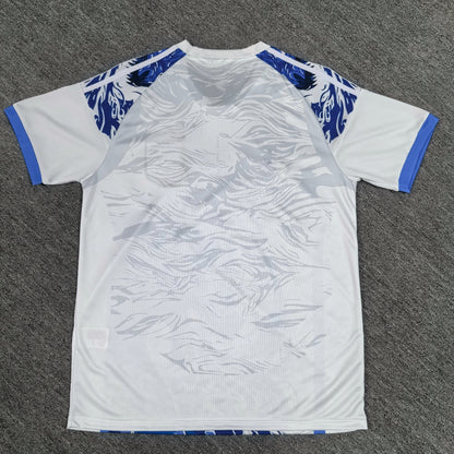 Maillot Japon Concept 2025/2026
