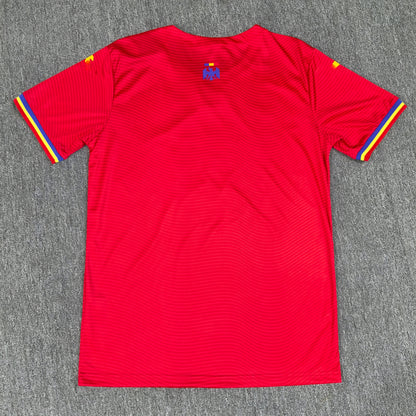 Maillot Roumanie 2025/2026