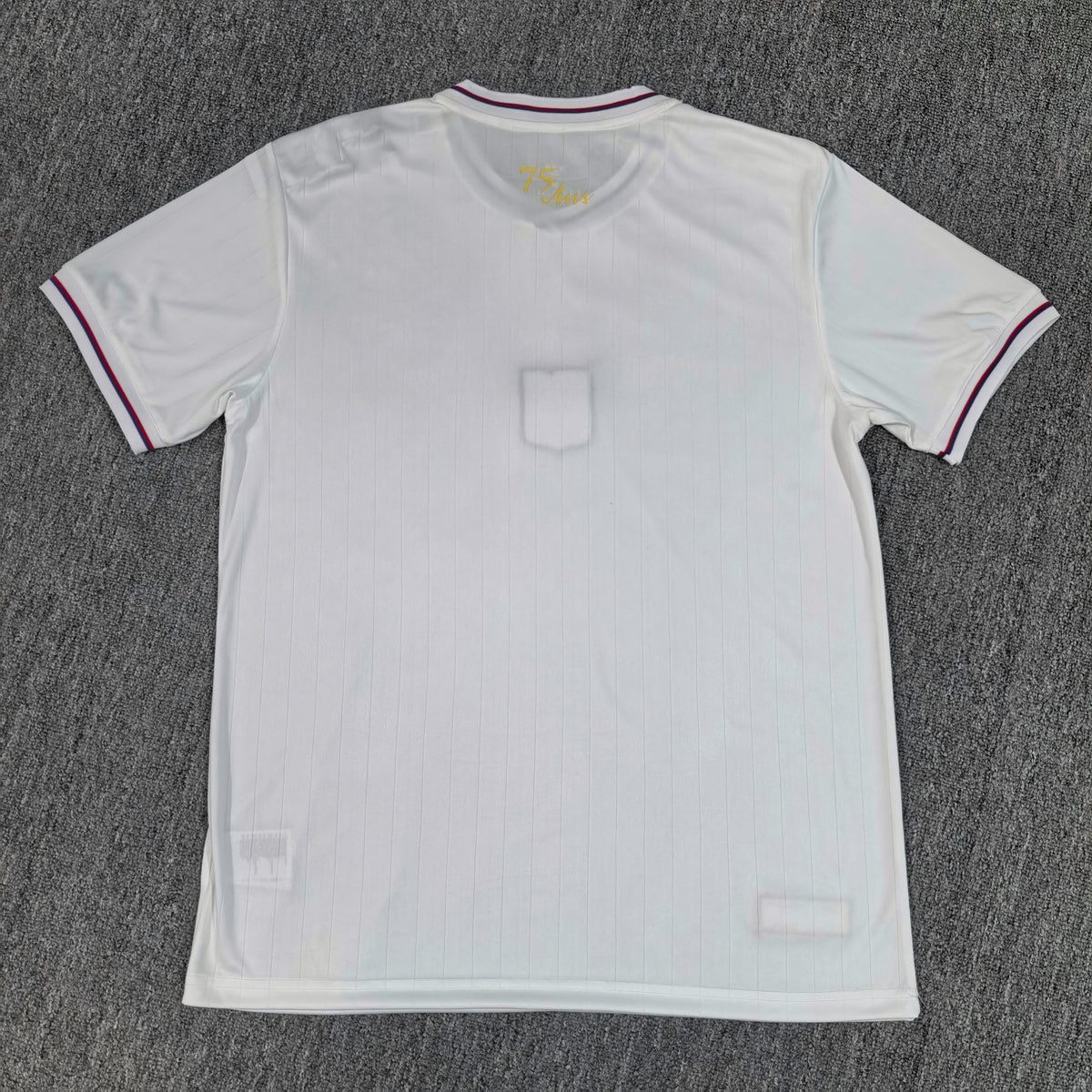 Maillot Olympique Lyonnais 75th edition