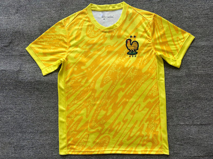 Maillot France 2024/2025