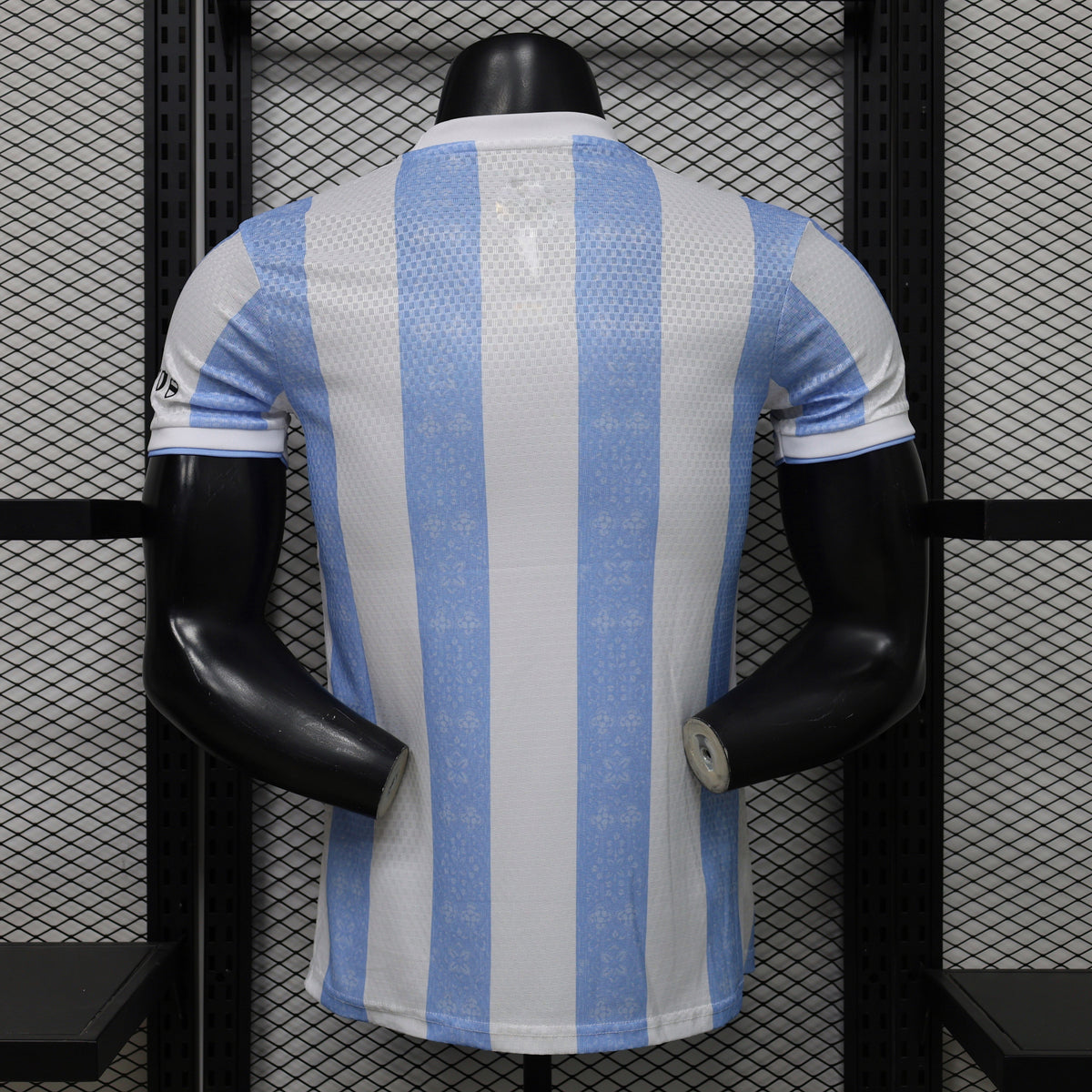Maillot Argentine Concept 2026/2027 Player Version
