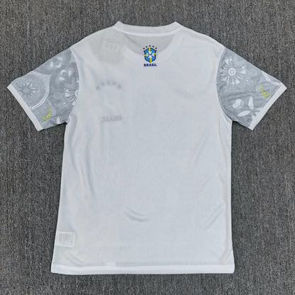 Maillot Brésil Concept 2025/2026
