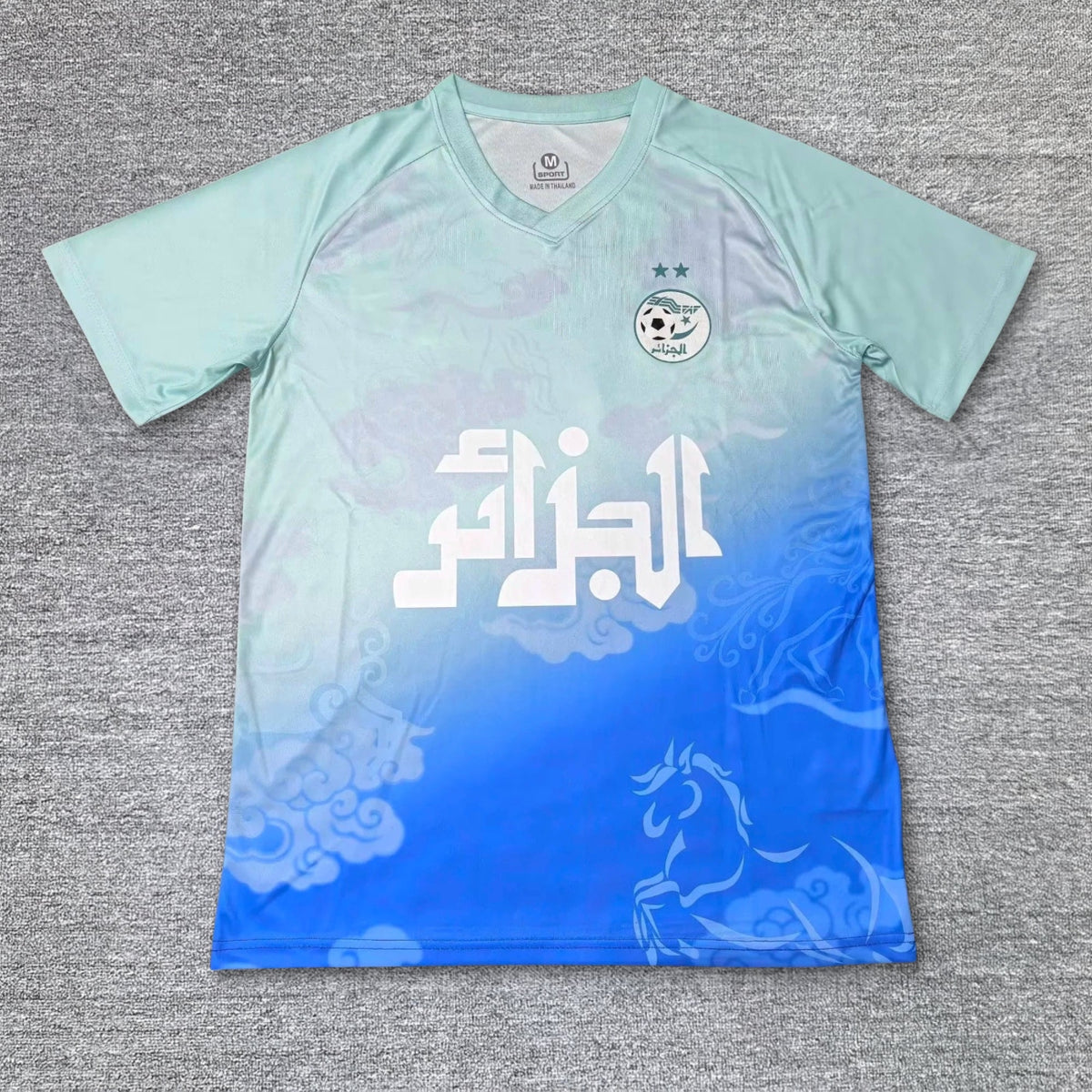 Maillot Algérie concept 2025