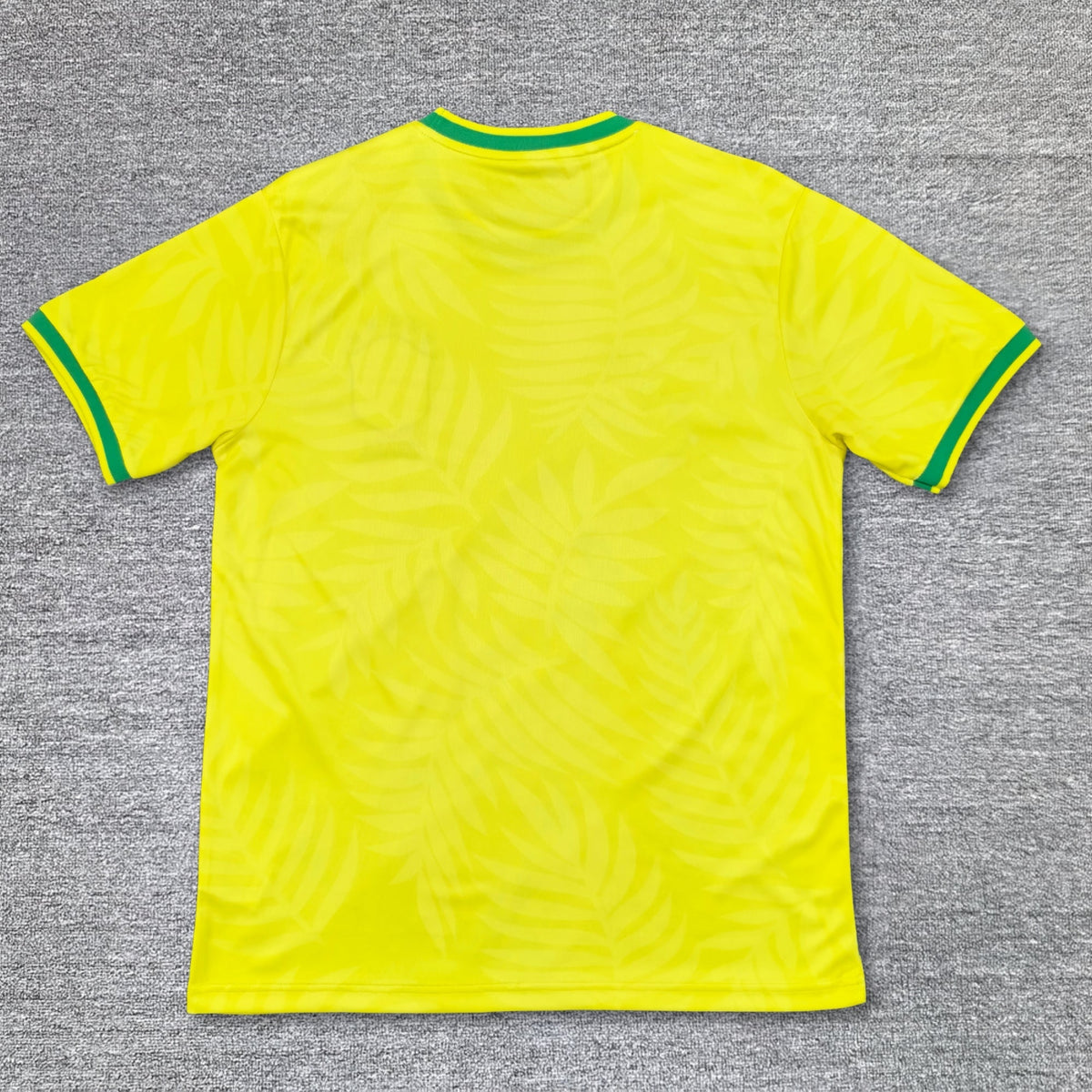 Maillot Brésil Concept 2024/2025