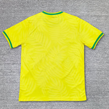 Maillot Brésil Concept 2024/2025